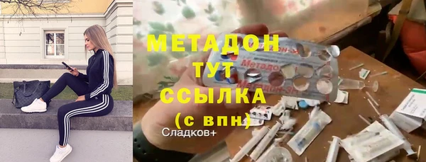 ГАЛЛЮЦИНОГЕННЫЕ ГРИБЫ Дмитриев
