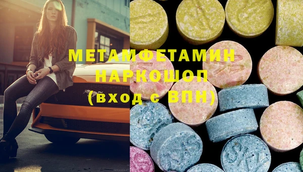 ГАЛЛЮЦИНОГЕННЫЕ ГРИБЫ Дмитриев