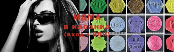 ГАЛЛЮЦИНОГЕННЫЕ ГРИБЫ Дмитриев