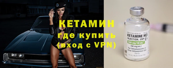 ГАЛЛЮЦИНОГЕННЫЕ ГРИБЫ Дмитриев