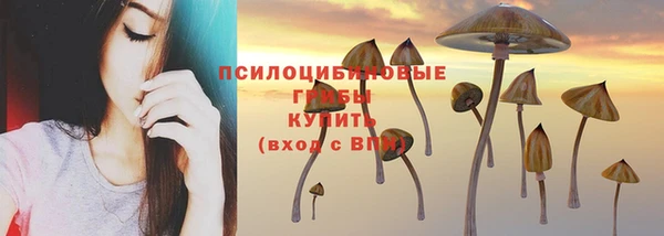 ГАЛЛЮЦИНОГЕННЫЕ ГРИБЫ Дмитриев