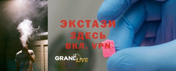 ГАЛЛЮЦИНОГЕННЫЕ ГРИБЫ Дмитриев