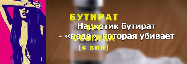 ГАЛЛЮЦИНОГЕННЫЕ ГРИБЫ Дмитриев
