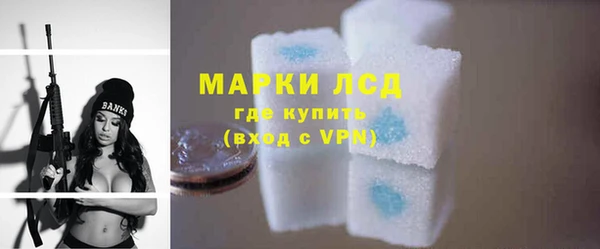 ГАЛЛЮЦИНОГЕННЫЕ ГРИБЫ Дмитриев