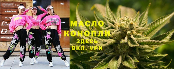ГАЛЛЮЦИНОГЕННЫЕ ГРИБЫ Дмитриев