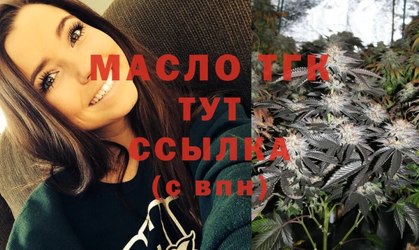 ГАЛЛЮЦИНОГЕННЫЕ ГРИБЫ Дмитриев