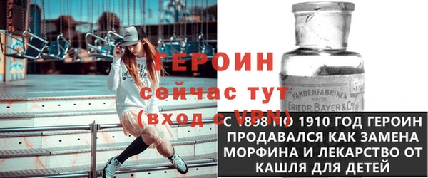 ГАЛЛЮЦИНОГЕННЫЕ ГРИБЫ Дмитриев