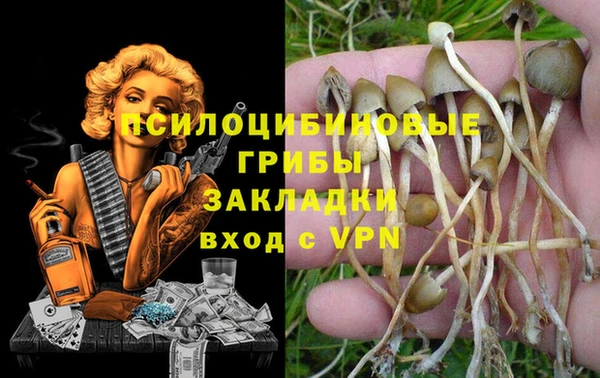 ГАЛЛЮЦИНОГЕННЫЕ ГРИБЫ Дмитриев