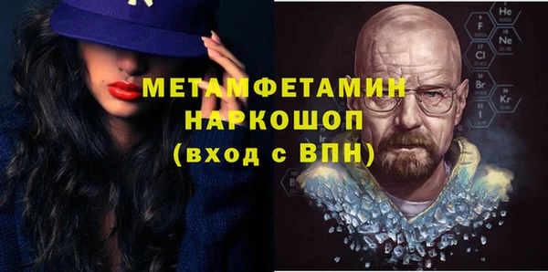 ГАЛЛЮЦИНОГЕННЫЕ ГРИБЫ Дмитриев