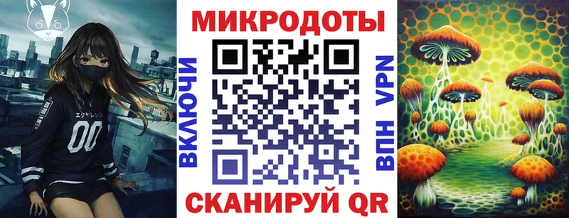 Купить где  Курильск  Псилоцибиновые грибы ЛСД 
